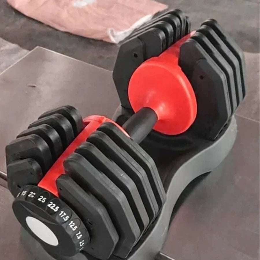 Pair of adjustable dumbbells with red accents on a concrete surface