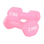 Pair of pink dumbbells with '2.5KG' marking on a white background
