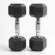 Pairs / 15.0kg