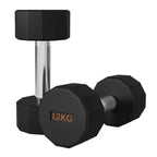 Pair of black hexagonal dumbbells with '12KG' marking on a white background
