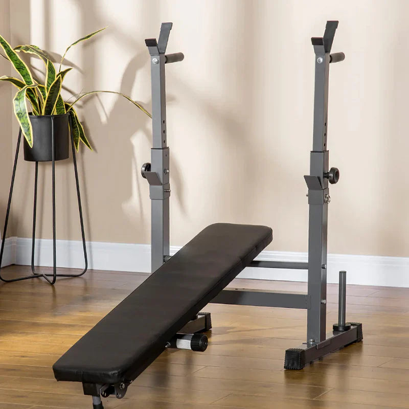 Black weight bench with adjustable stands on a wooden floor, plant in the background.